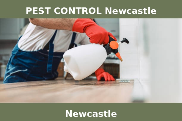 PEST CONTROL Newcastle